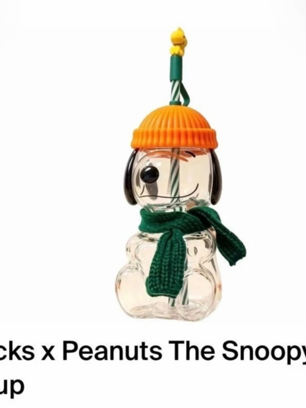 Starbucks x Peanuts The Snoopy Glass Cold Cup Green & Clear